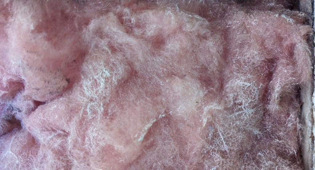 Mold Remediation in Attic Spaces 1